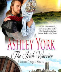 Medieval Monday ~ The Irish Warrior by Ashley York